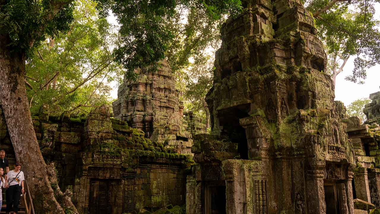 Ta Prohm Temple Siem Reap Cambodia
